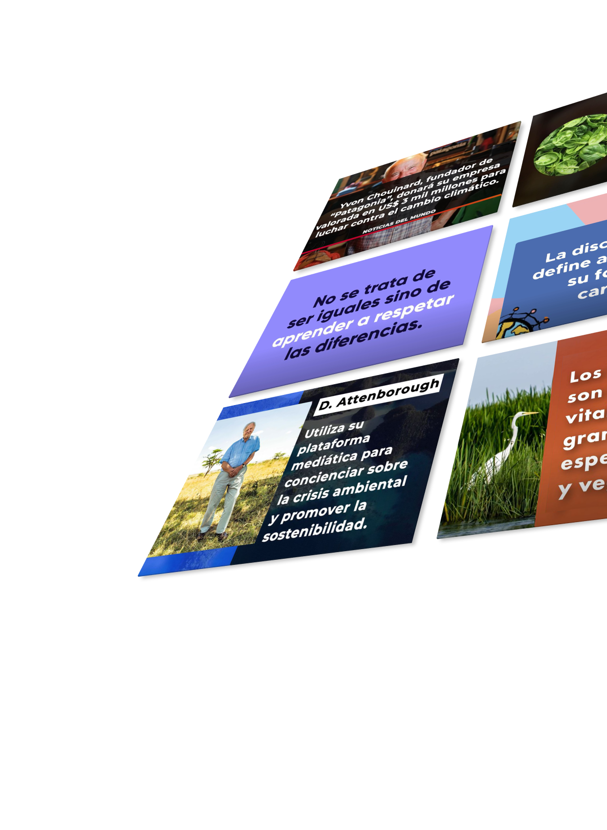 comunicacion-regenerativa-image